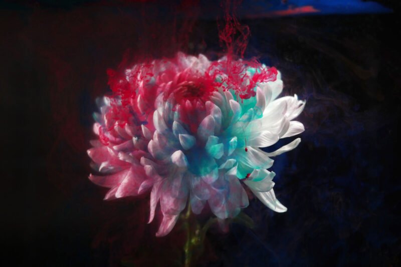 Commercial Product Still Life Photographer