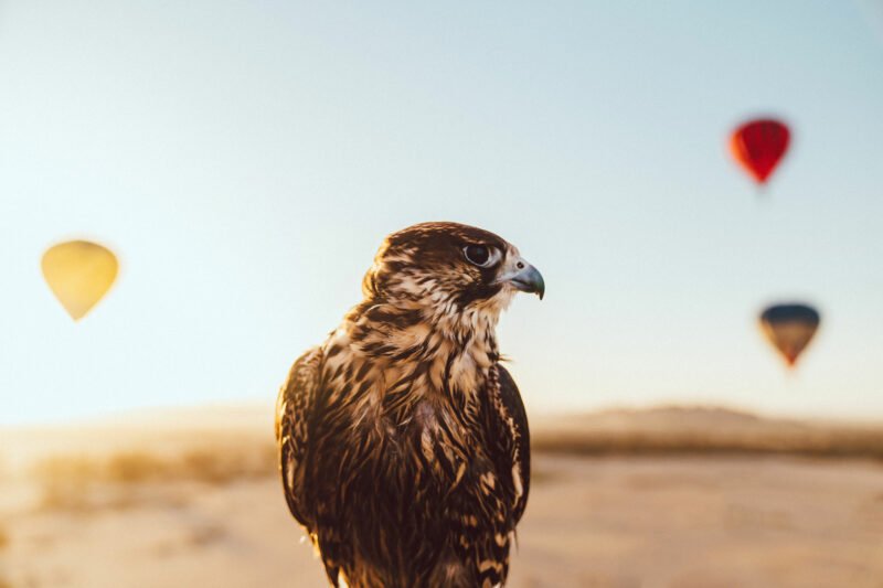 Travel and automotive photographer in Dudley, UK