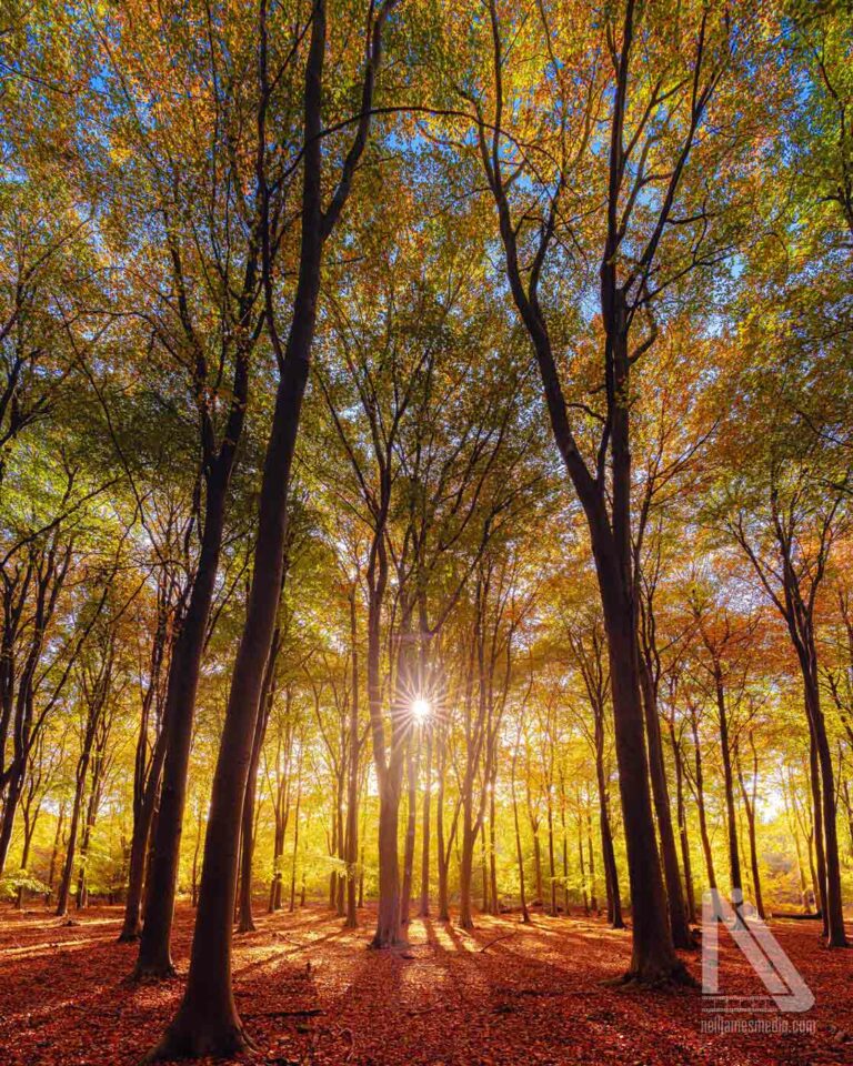 Event & Wedding Photographer Thetford Norfolk