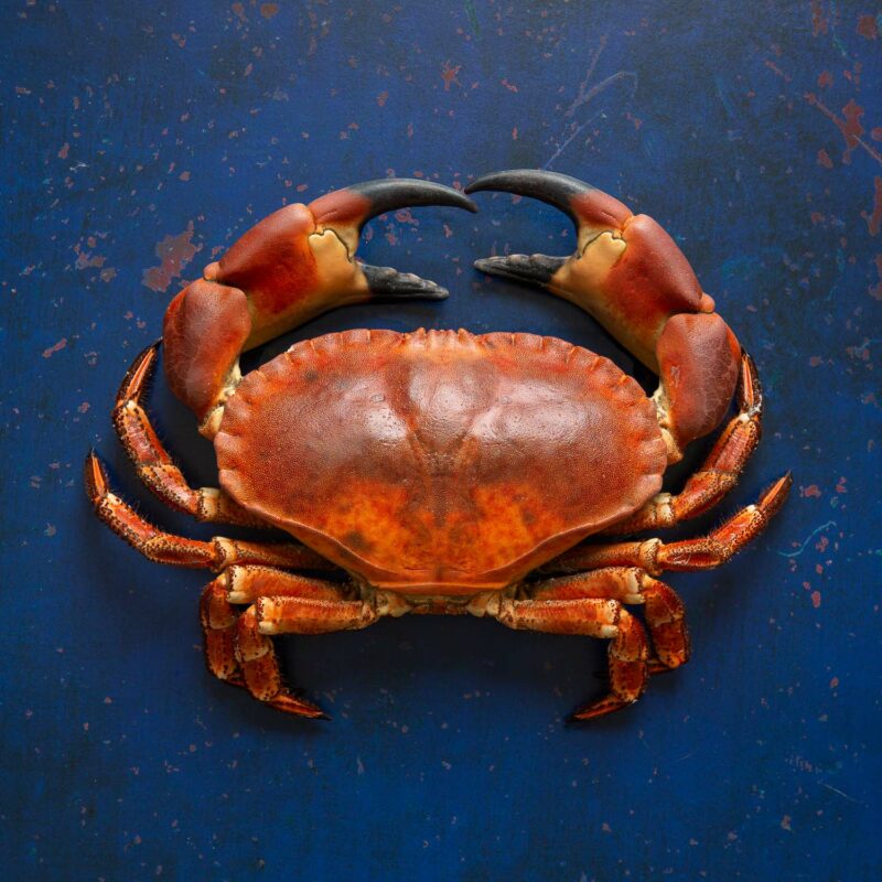 Food & Product Photographer Richmond North Yorkshire