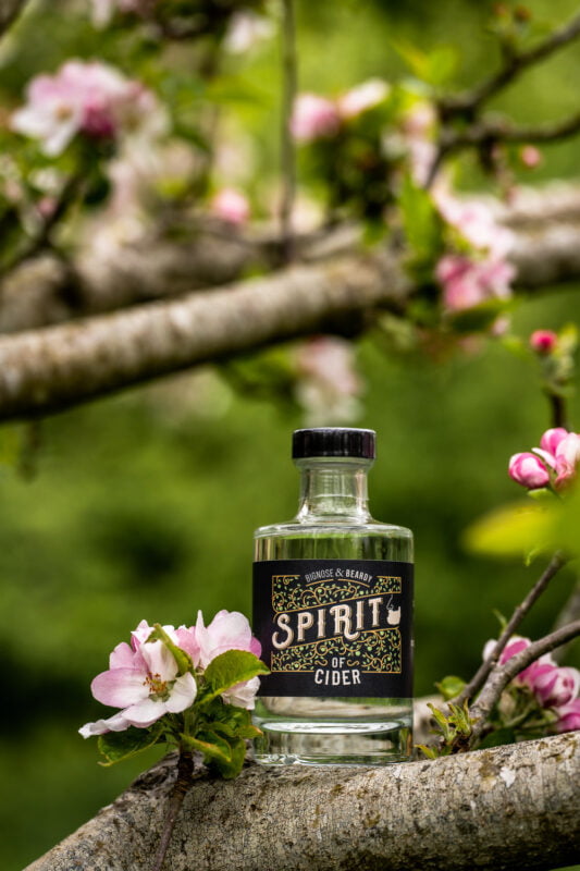 Commercial & Headshot Photographer Uckfield East Sussex