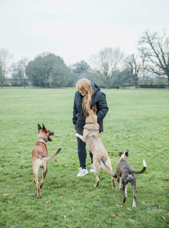 Dog photographer Greenwich London