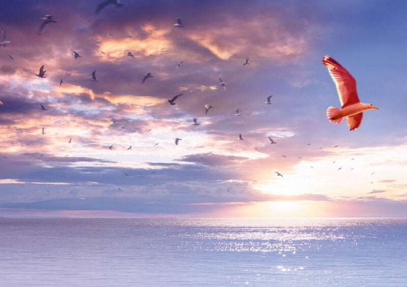 Headshot & Product Photographer Dunstable Bedfordshire