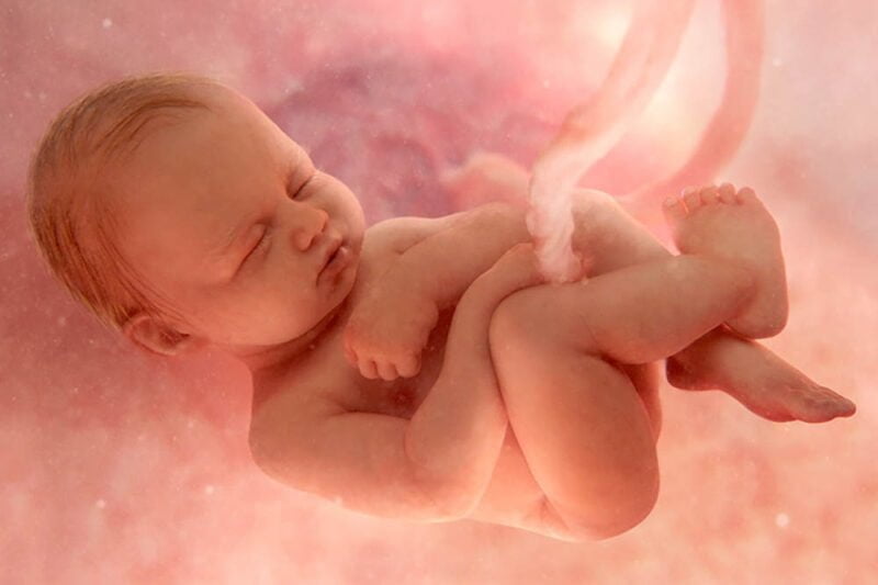 Headshot & Product Photographer Dunstable Bedfordshire