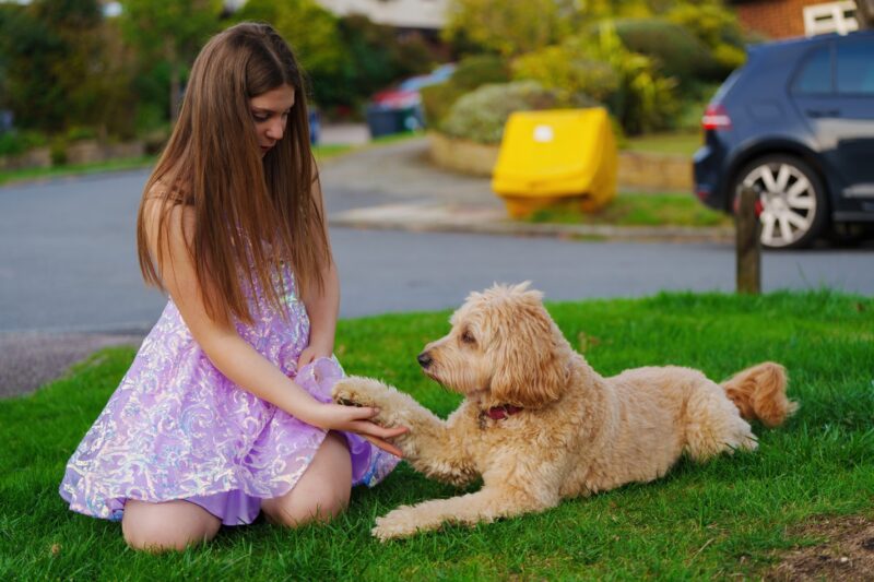 Commercial Event Photographer London Greater London