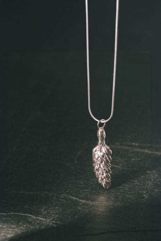 Commercial & Product Photographer Plymouth Devon