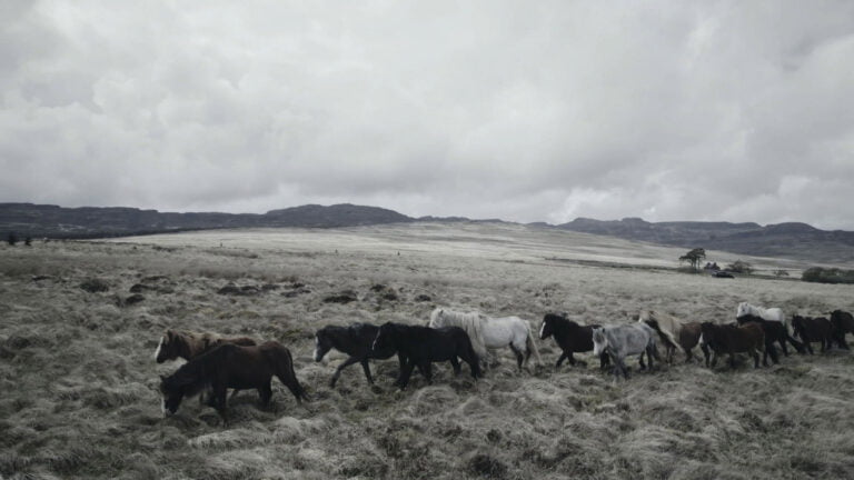 Automotive Headshot Photographer London Hackney