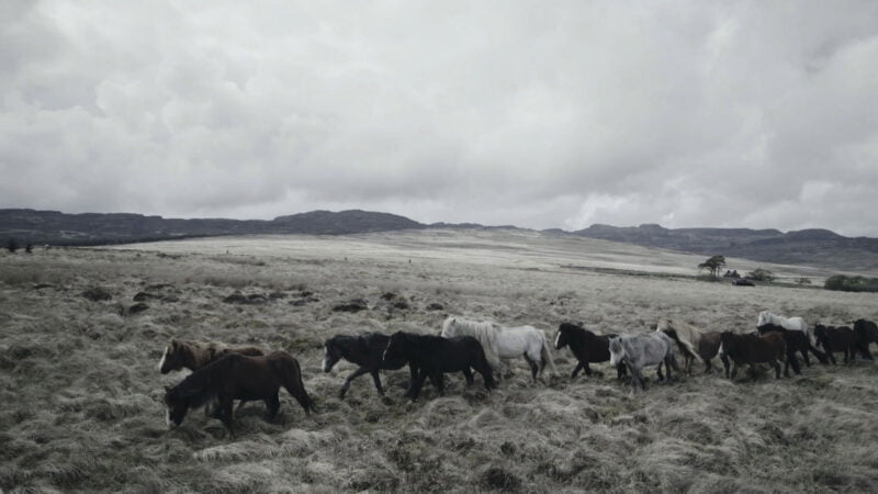 Automotive Headshot Photographer London Hackney