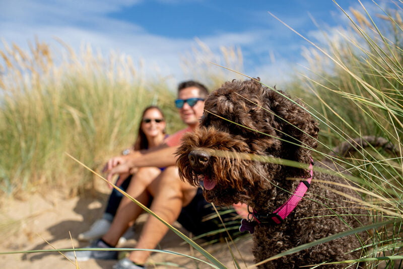 Family & Headshot Photographer Norwich Norfolk