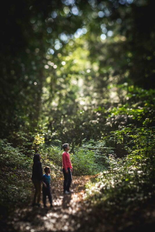 Family & Portrait Photographer Cambridge Cambridgeshire