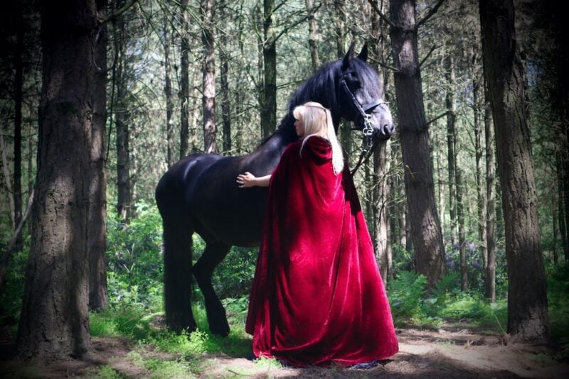 Portrait & Wedding Photographer York North Yorkshire