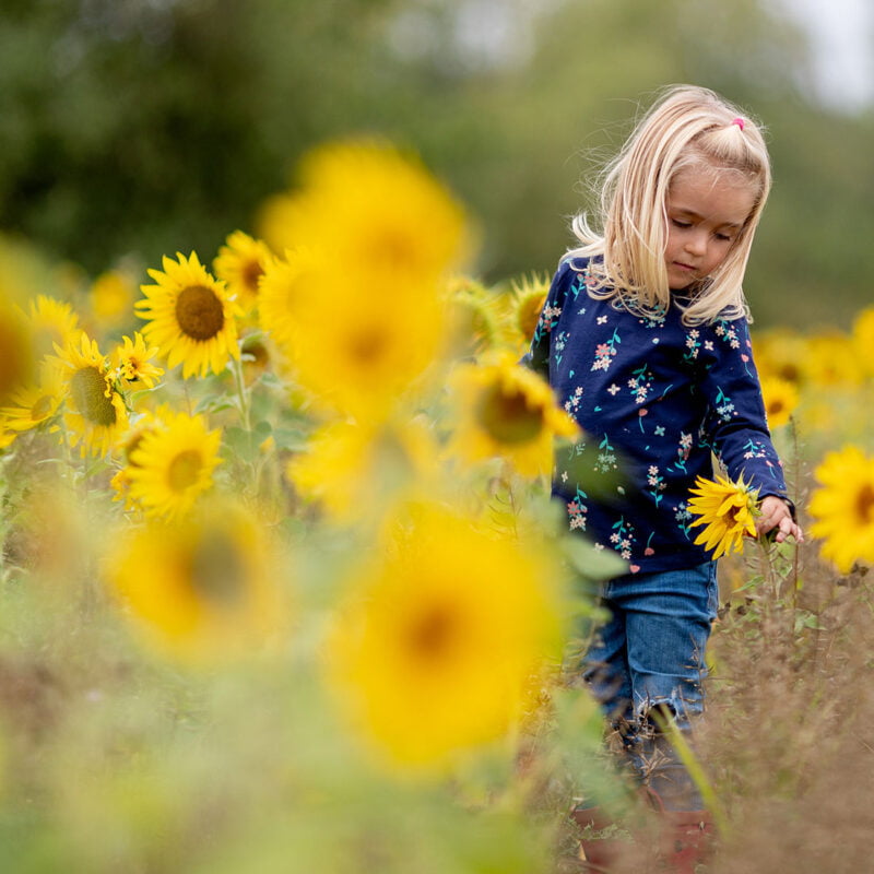 Family & Headshot Photographer Norwich Norfolk