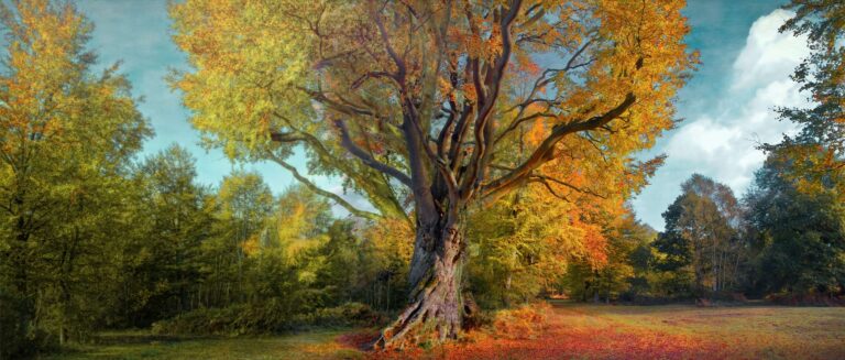 Landscape and documentary photographer Surrey