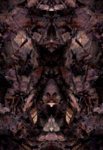 Landscape and documentary photographer Surrey