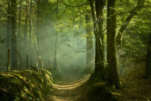 Landscape and documentary photographer Surrey