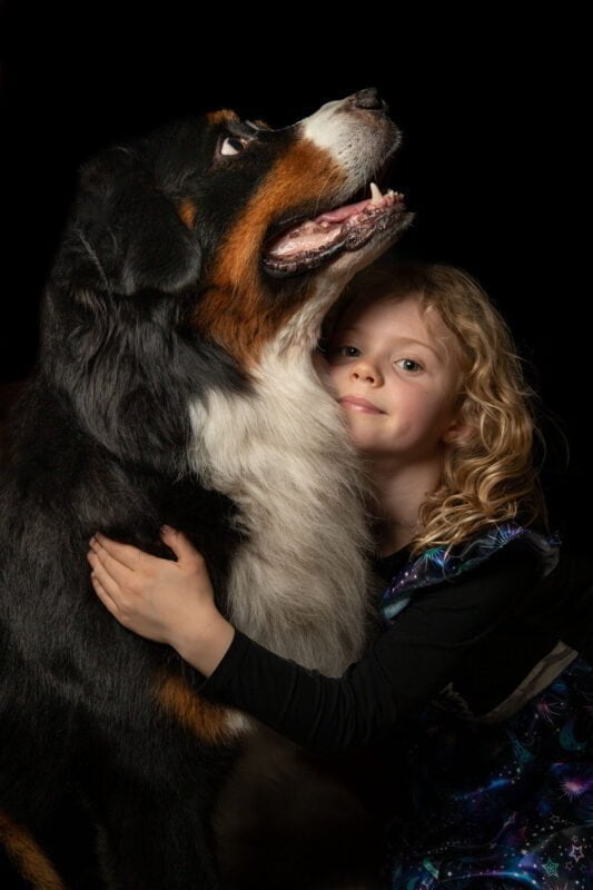 Pet photographer north London